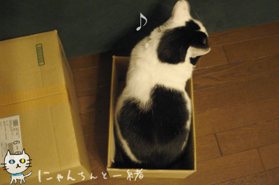 e0031853_03328.jpg