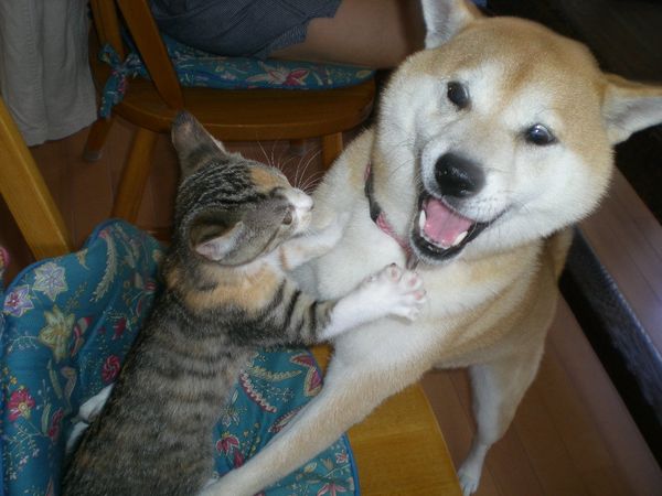 2008年10月10日(金)今日はどんなバトル?_f0060461_16125286.jpg