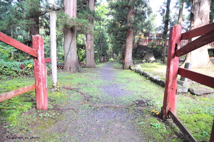 桜林公園へ_e0140866_20584332.jpg