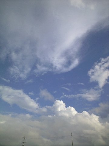 c0139375_15555434.jpg