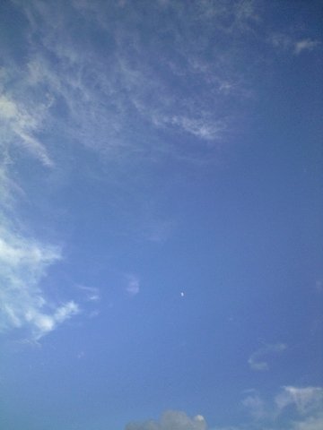 c0139375_15563748.jpg