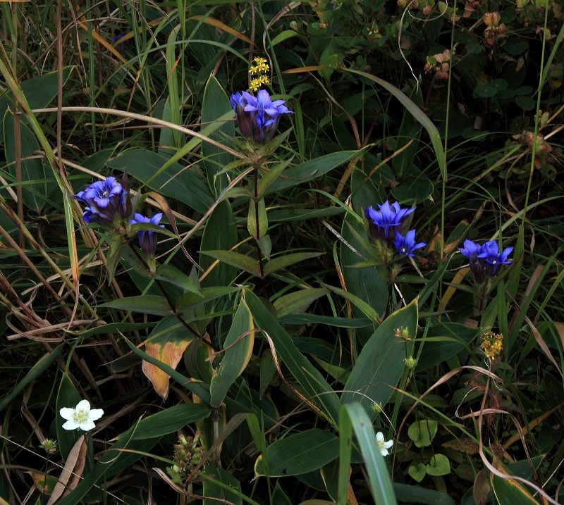 e0091879_23412829.jpg
