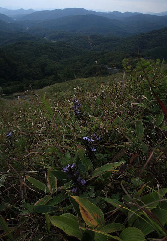 e0091879_23414891.jpg