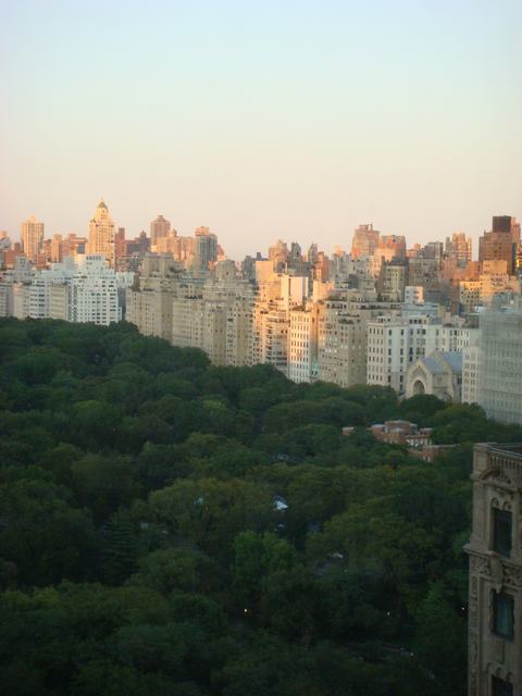 d0100880_7253574.jpg