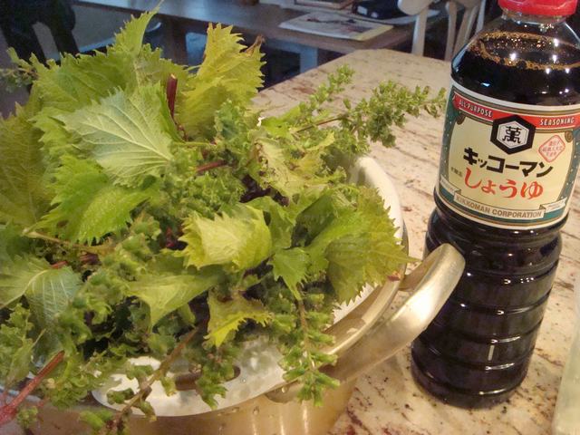 d0100880_7264391.jpg
