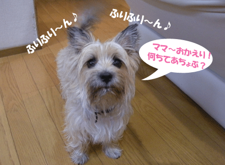 e0066883_1948670.gif