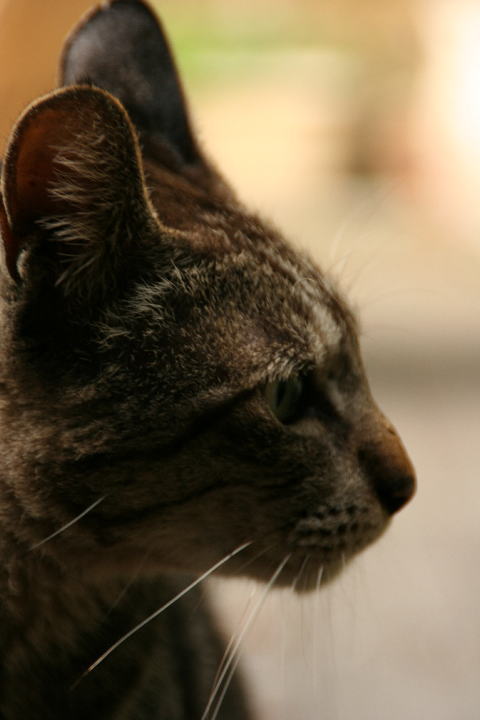 c0129389_177553.jpg