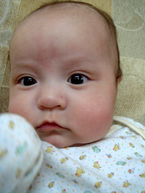 c0103793_8173638.jpg