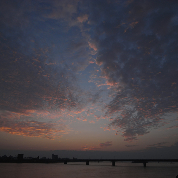 いそがしい日々 by GX100_c0049299_10212692.jpg
