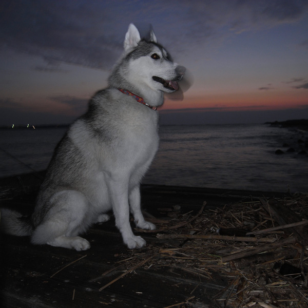 いそがしい日々 by GX100_c0049299_10234398.jpg