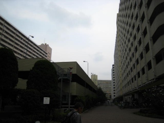d0121300_1535449.jpg