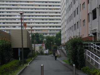 d0121300_15365542.jpg