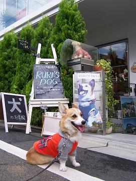 c0126703_17235121.jpg