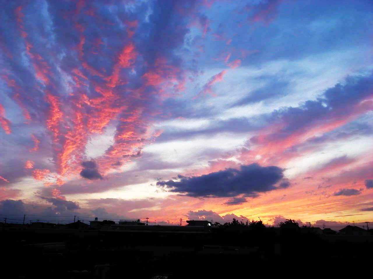 b0147808_18591061.jpg