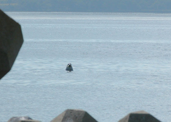 c0133911_7561844.jpg