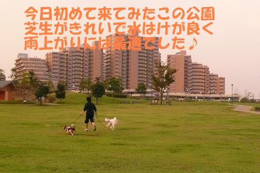 f0121712_1463091.jpg