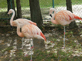 旭山動物園_c0025217_13351284.jpg