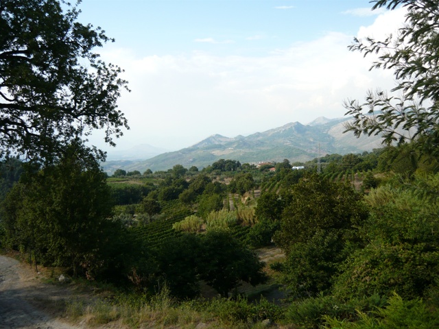 c0159117_1615058.jpg