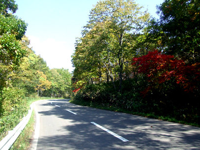 e0070320_21132371.jpg