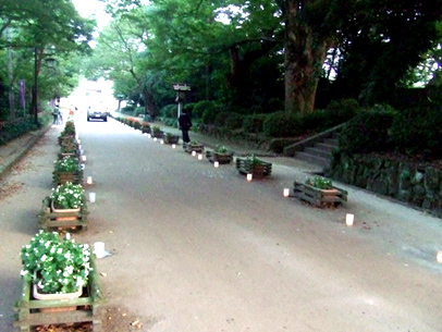 e0070320_21174452.jpg