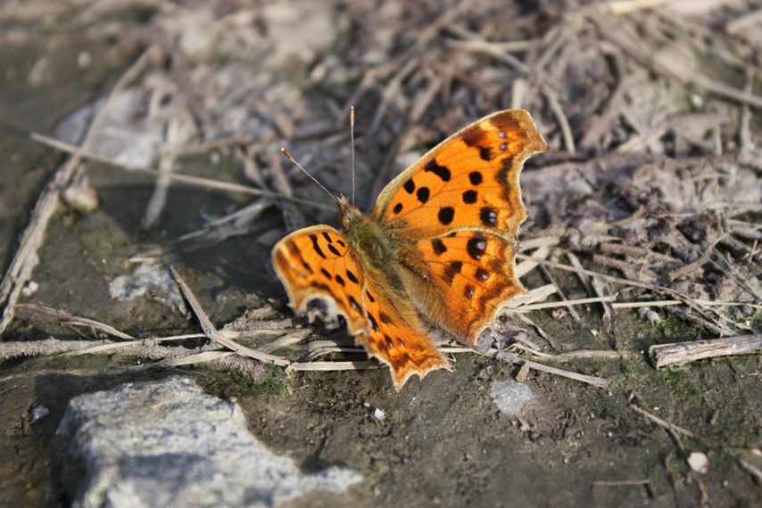 b0146723_2201247.jpg