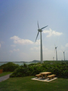 d0112024_12304413.jpg