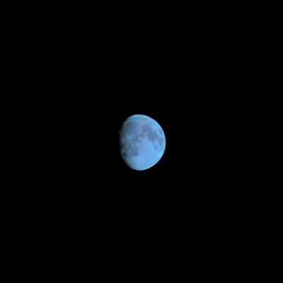 e0116532_20525372.jpg