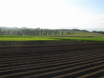 b0042334_17414174.jpg