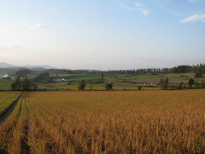 b0042334_17423273.jpg