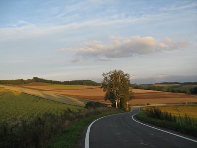 b0042334_17432073.jpg