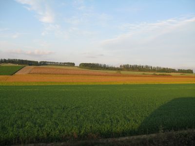 b0042334_174328.jpg