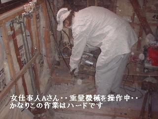 本日6日目_f0031037_20443443.jpg