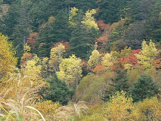 志賀高原の紅葉ハイク_f0019247_19433511.jpg