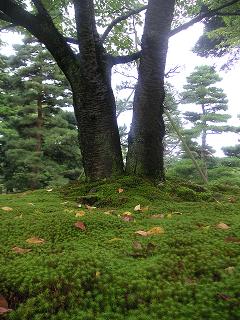 e0022948_10211036.jpg