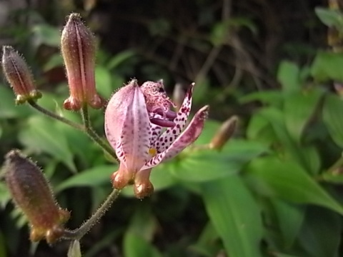 b0079055_17462166.jpg