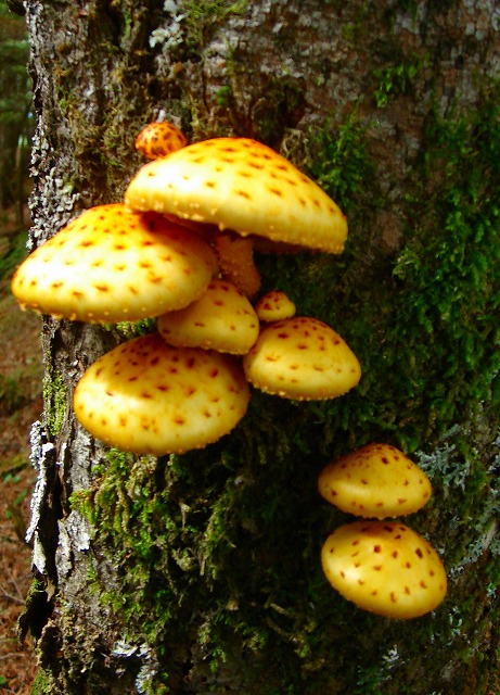c0119160_1648274.jpg