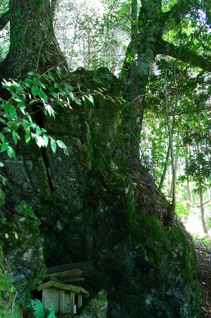 c0119160_1652368.jpg