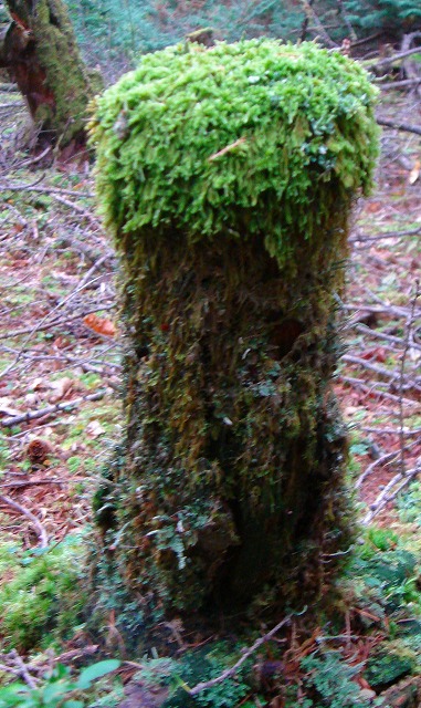 c0119160_17561491.jpg
