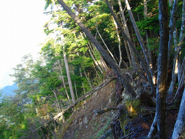 c0119160_1782112.jpg