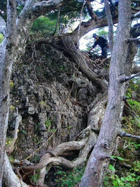 c0119160_18342316.jpg