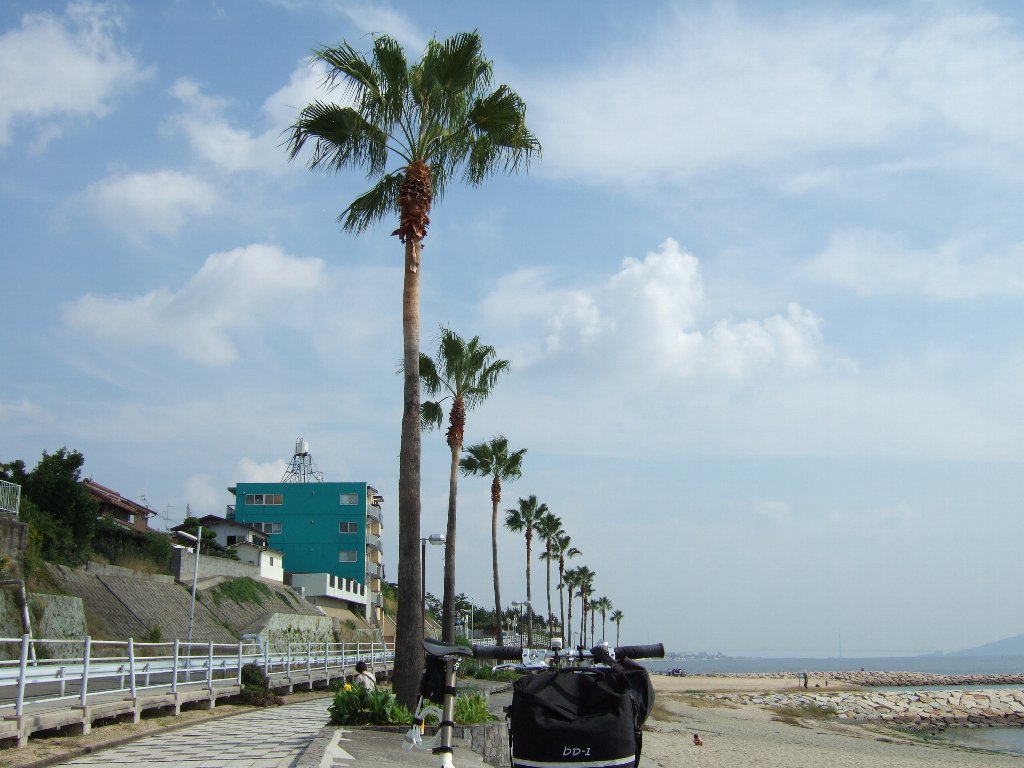 c0178561_17232264.jpg