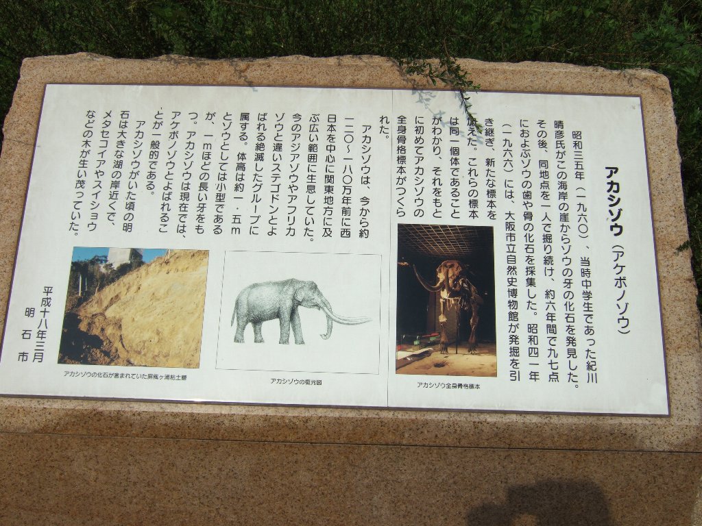 c0178561_1724255.jpg