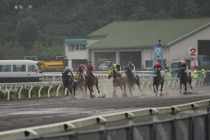 2008年10月5日（日） 高知競馬 8R_a0077663_6511254.jpg