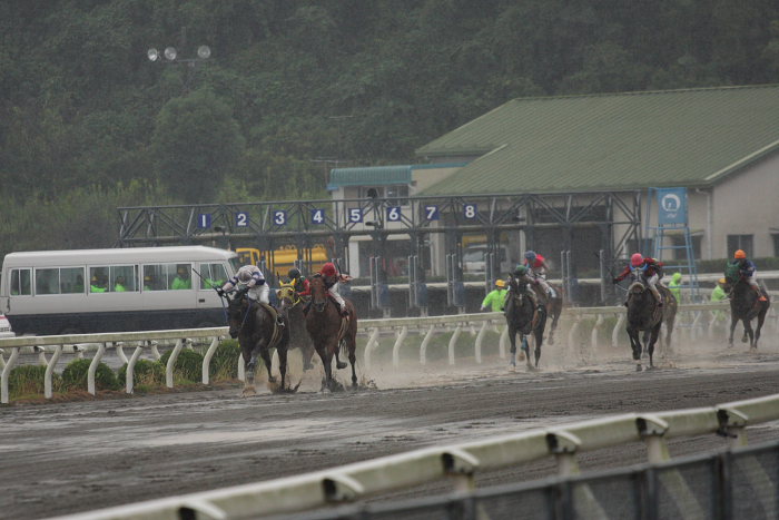 2008年10月5日（日） 高知競馬 8R_a0077663_651283.jpg