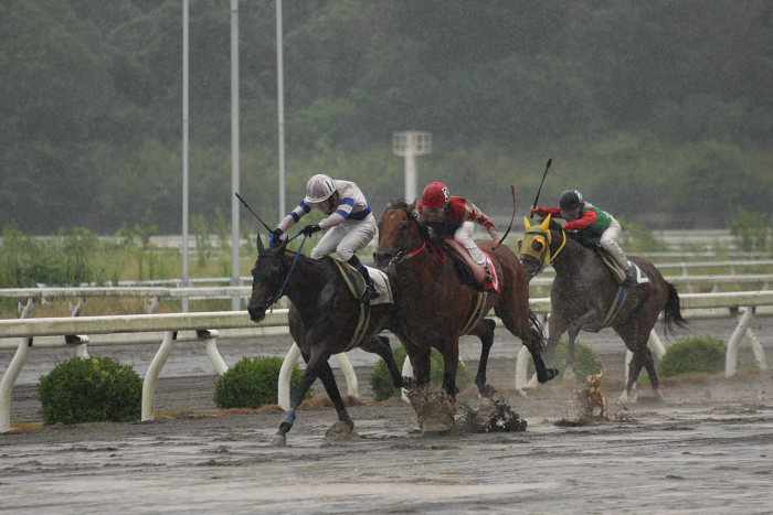 2008年10月5日（日） 高知競馬 8R_a0077663_6513622.jpg