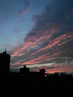 c0162963_20512770.jpg