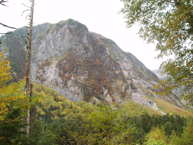 f0145963_23285666.jpg
