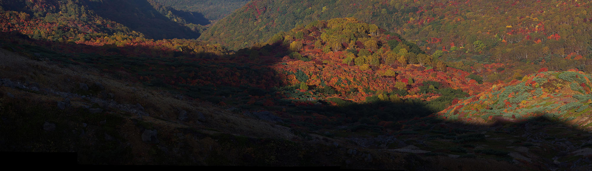 那須高原の紅葉_e0140066_13355166.jpg