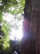 b0134673_172417100.jpg