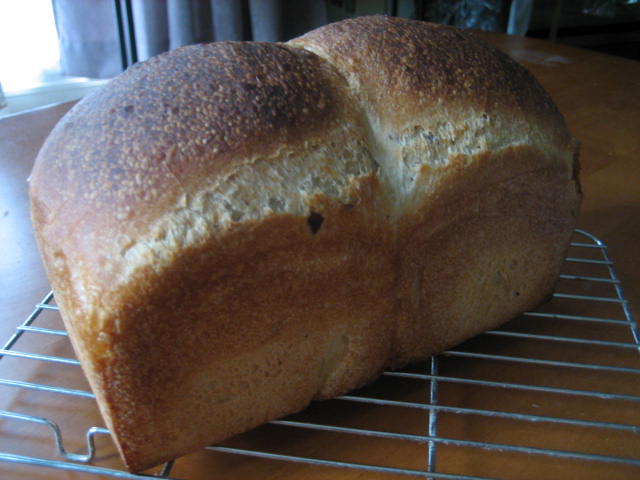 テリア特号 と ゆきちから を比べています 食パン 花巻パンだより 明野滞在日記より 現在開業準備中